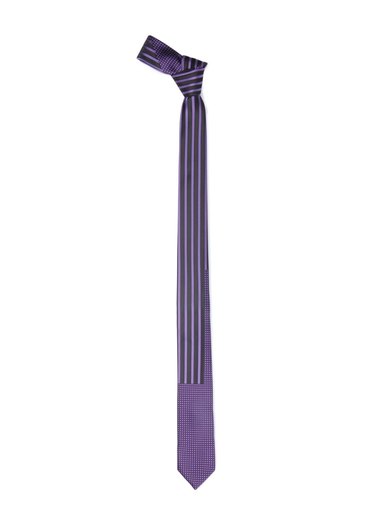 Parx Men Black and Purple Tie