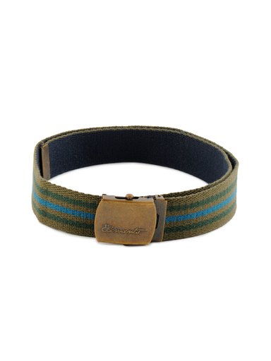 Peter England Men Casual Olive Belt