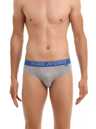 Park Avenue Men Grey Melange Briefs